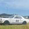 Model auta rally Ford Mustang