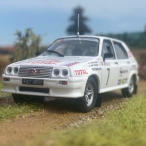 Model auta rally Citroen - Visa