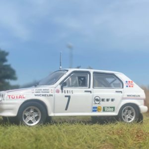 Model auta rally Citroen - Visa