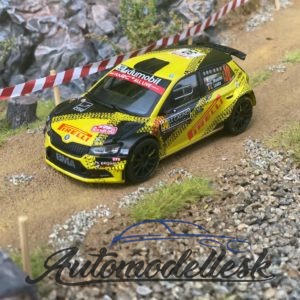 Skoda Fabia R5 Evo