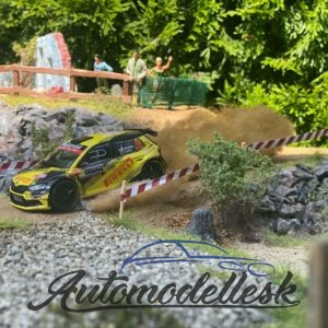 Skoda Fabia R5 Evo