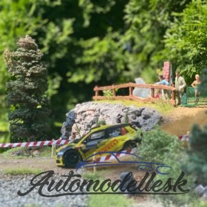 Skoda Fabia R5 Evo