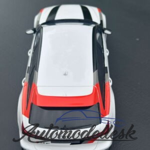 Model auta AUDI RS 6 GT ARKONA WHITE 2024.